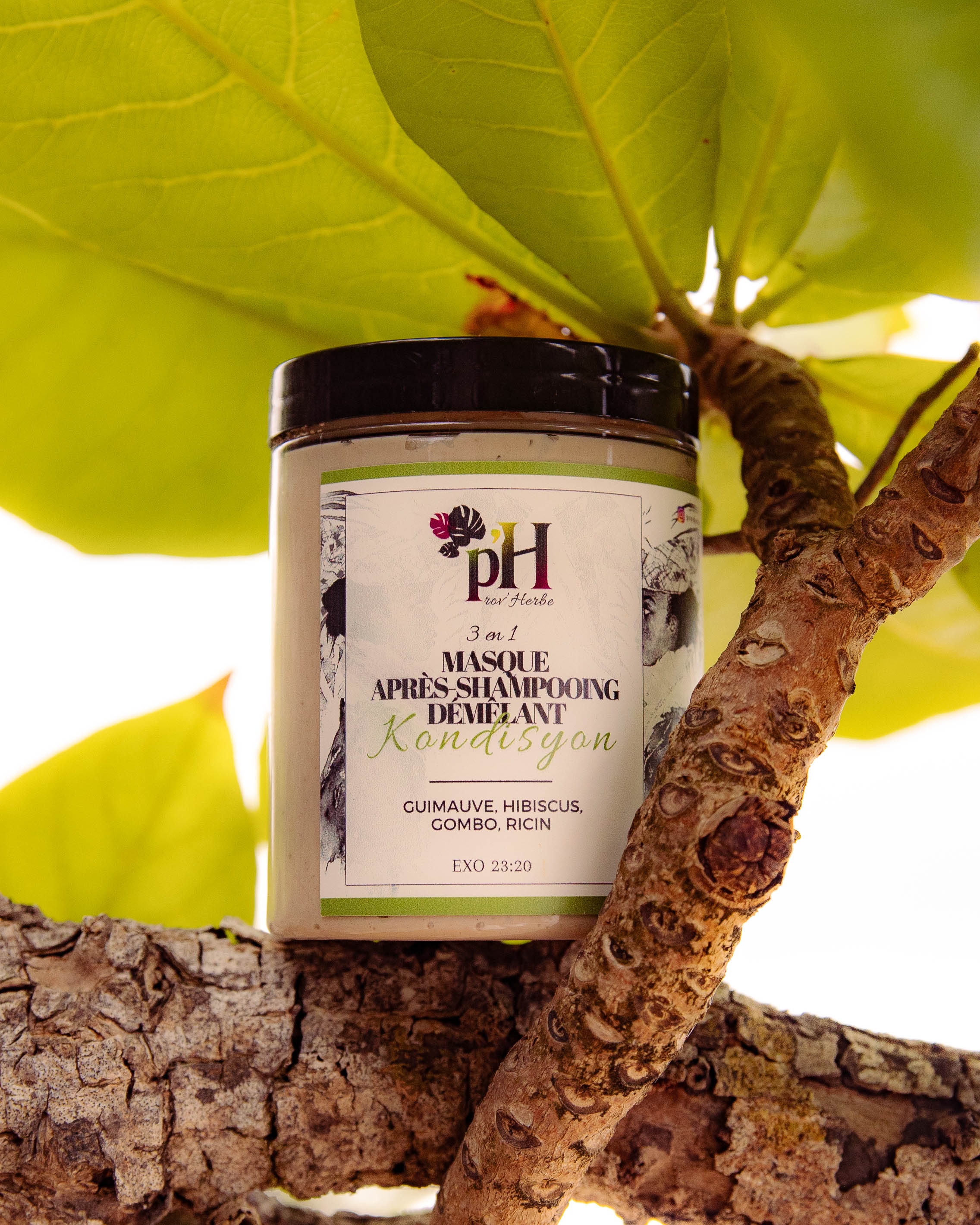 Masque Après-shampooing Kondisyon