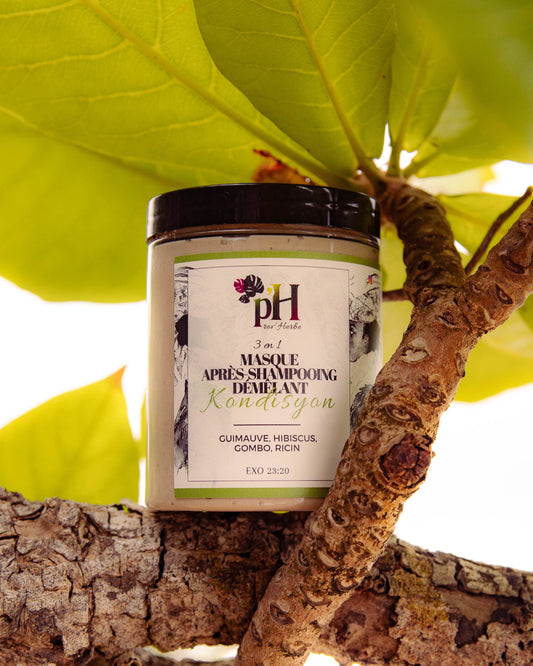 Masque Après-shampooing Kondisyon