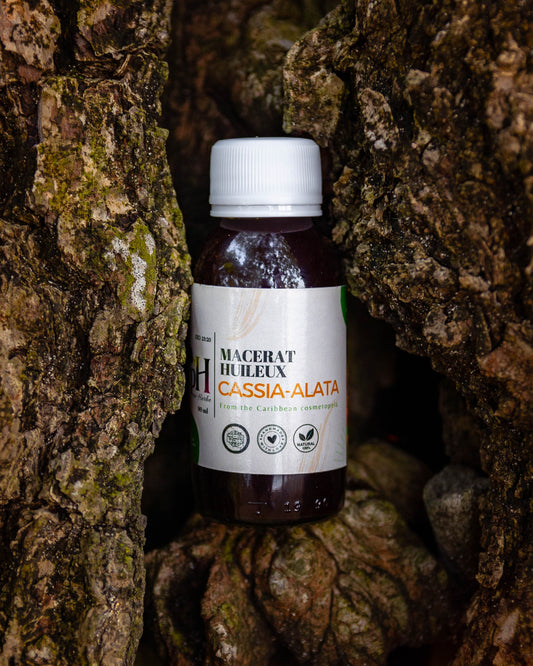 Macérât huileux - Cassia-alata