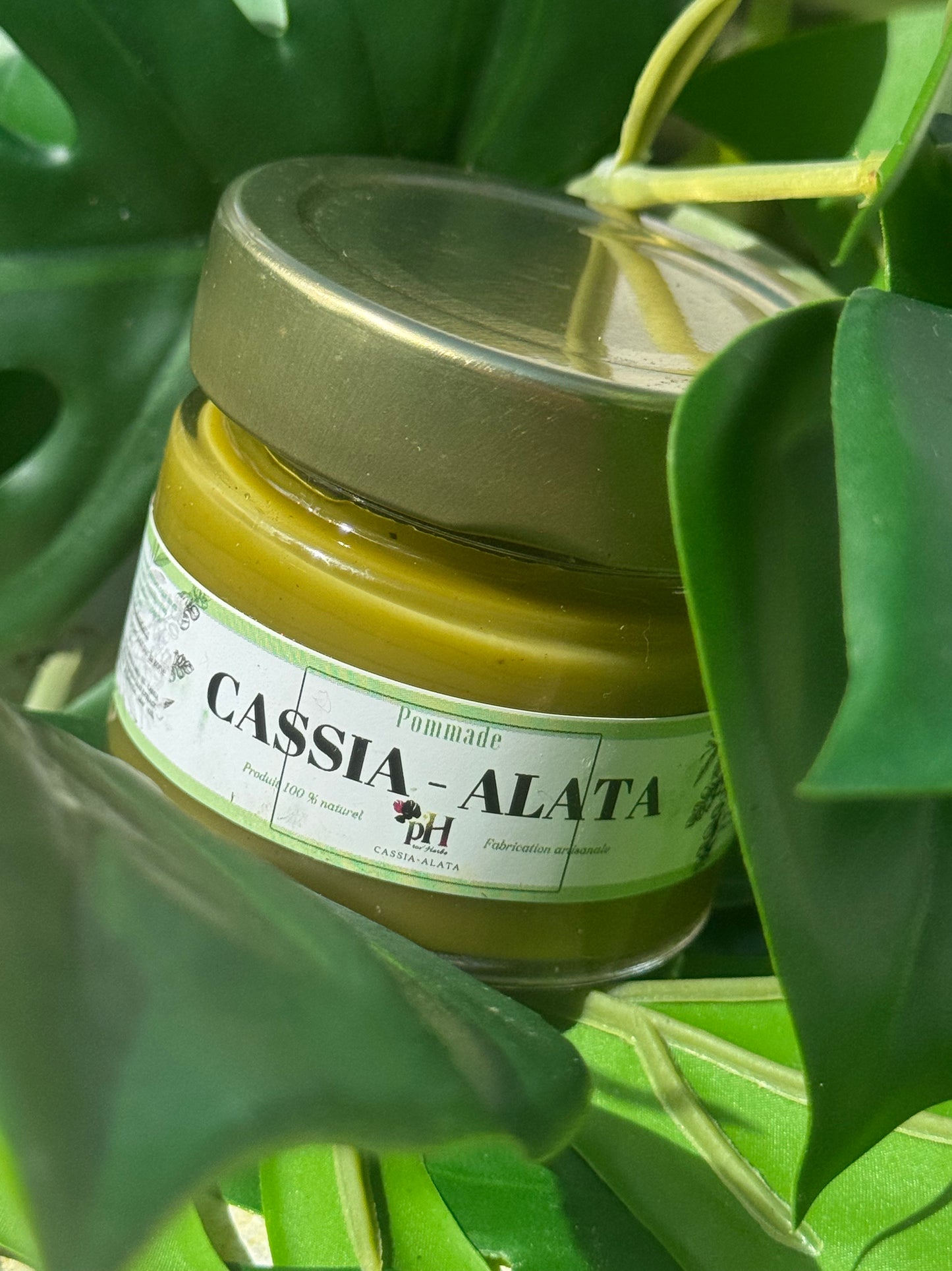 Pommade Cassia-alata